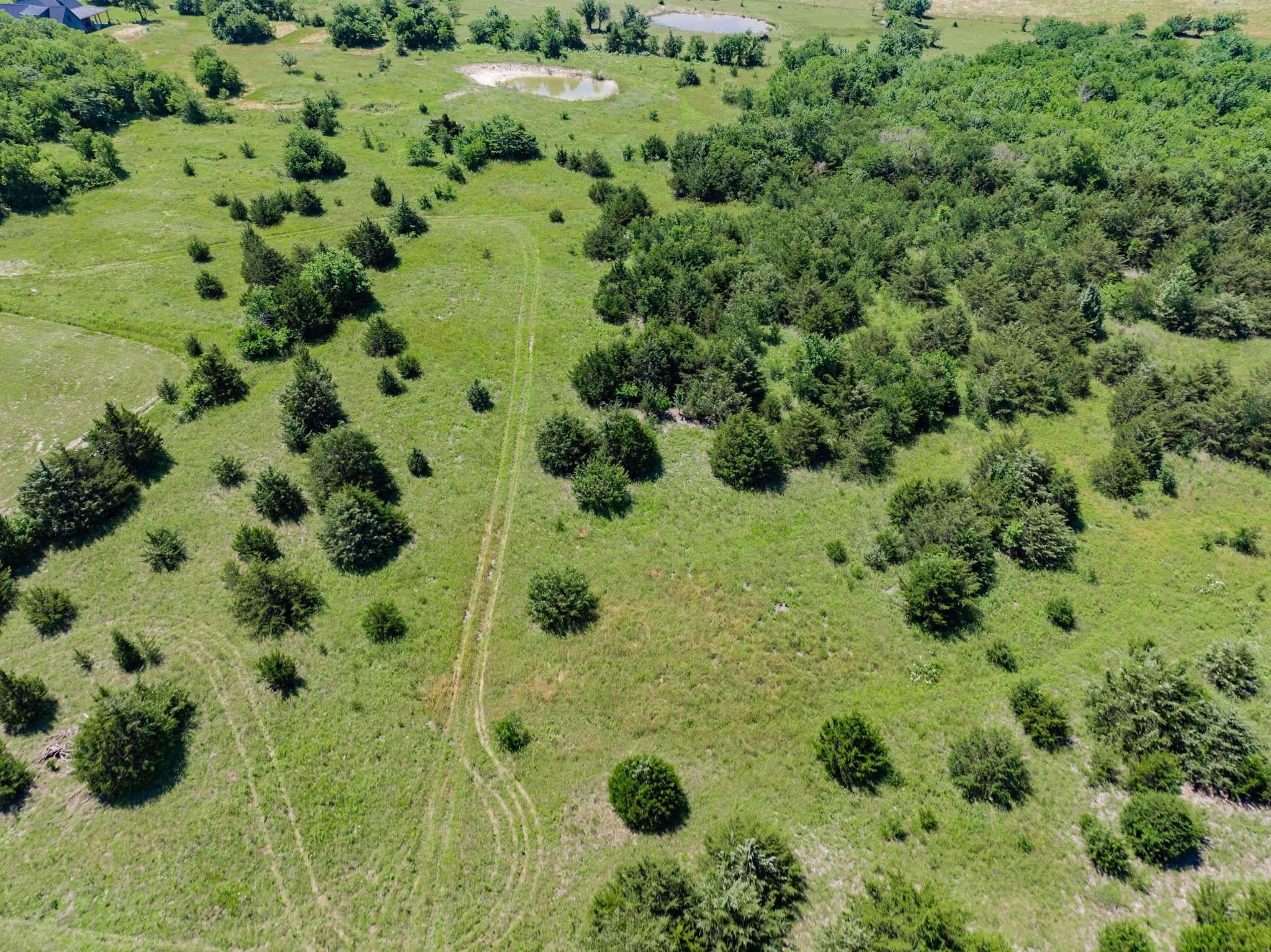 Greenville, TX 75401,654 N FM 36 #Lot 3