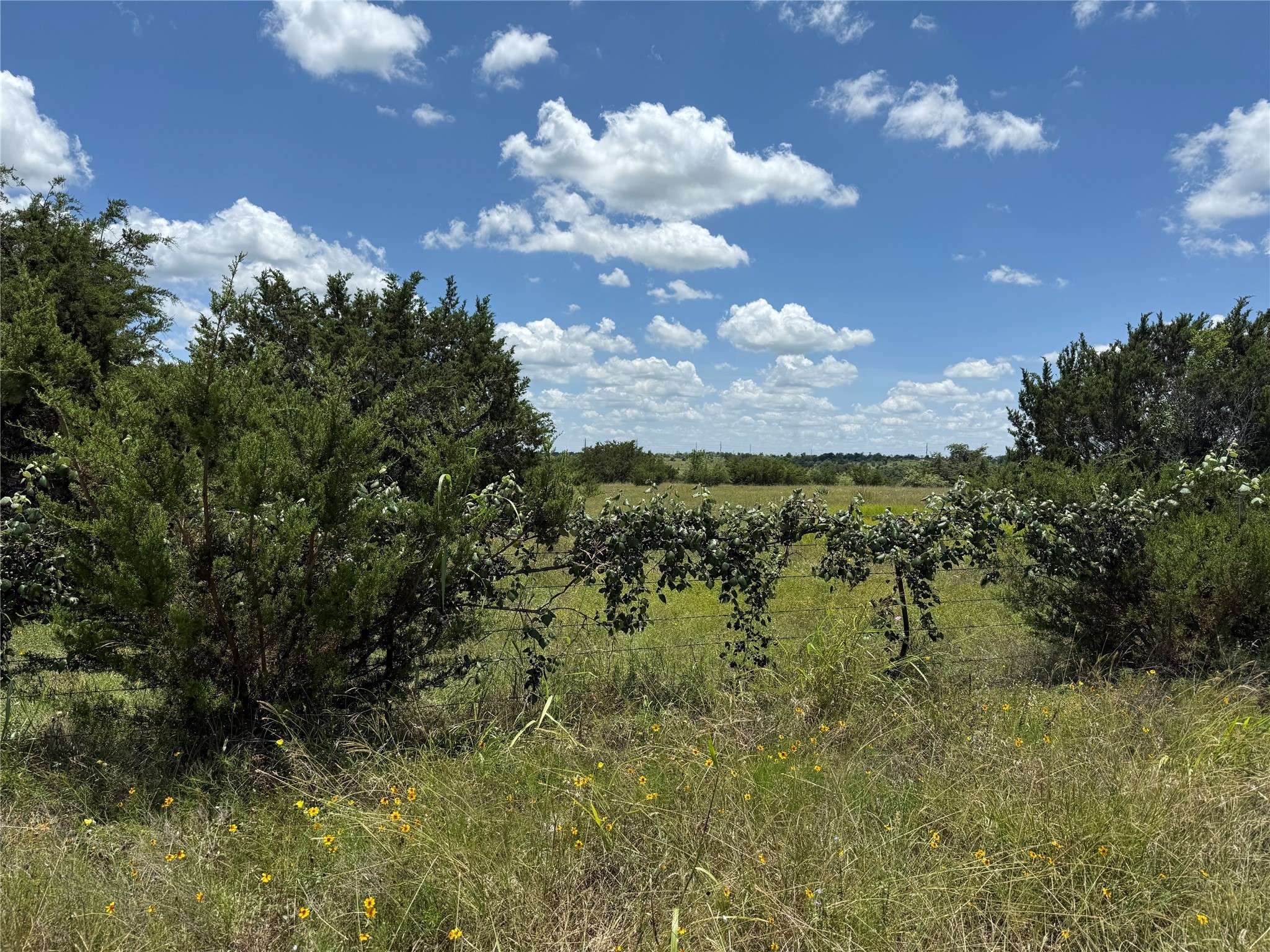 Clifton, TX 76634,TBD Private Road 1743B