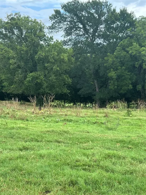 Boyd, TX 76023,TBD Abel LN