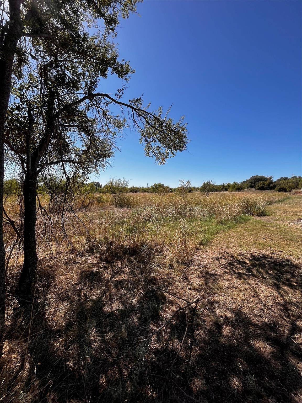 Comanche, TX 76442,0000 Mercers Preserve RD