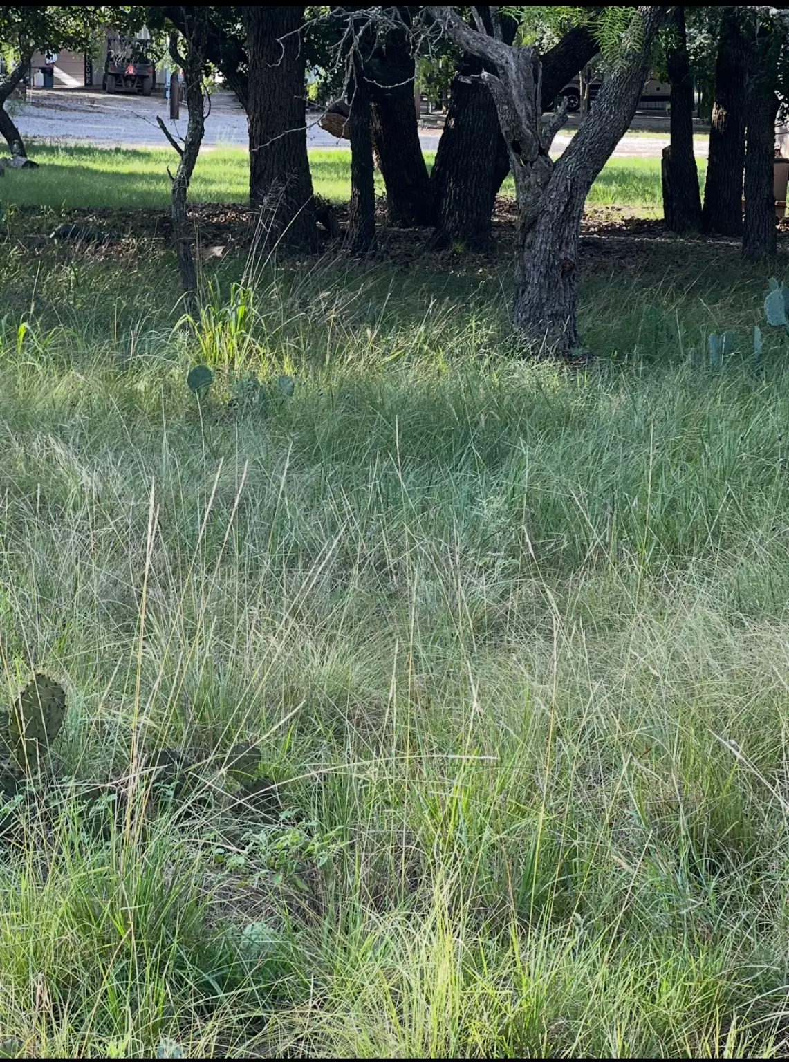 May, TX 76857,Lot 653 S Lakeside DR