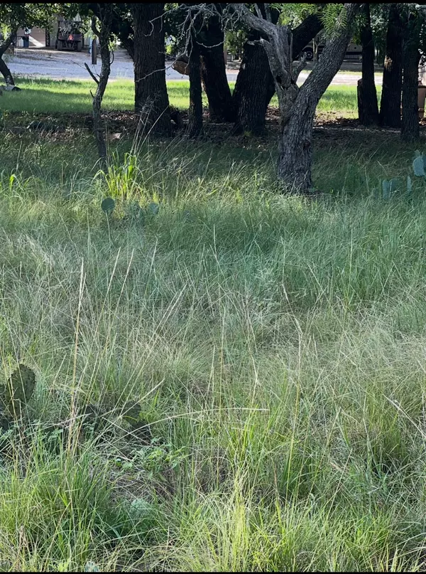 Lot 653 S Lakeside DR, May, TX 76857