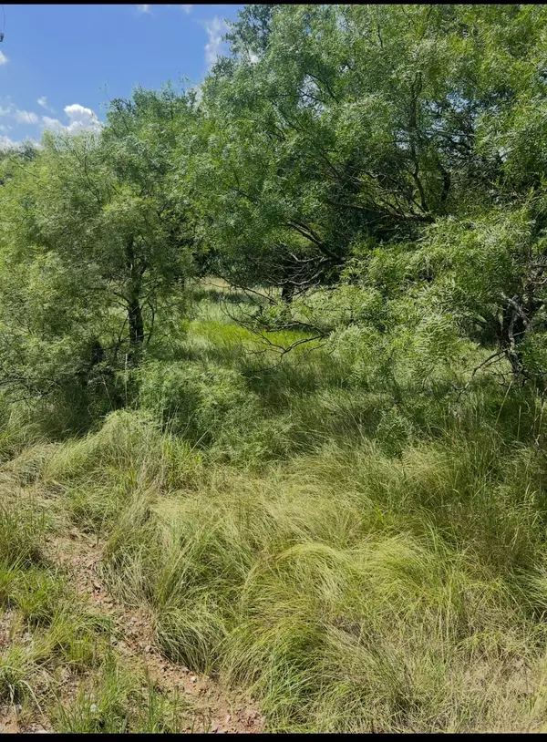 Lot 821 Oak Point DR, May, TX 76857