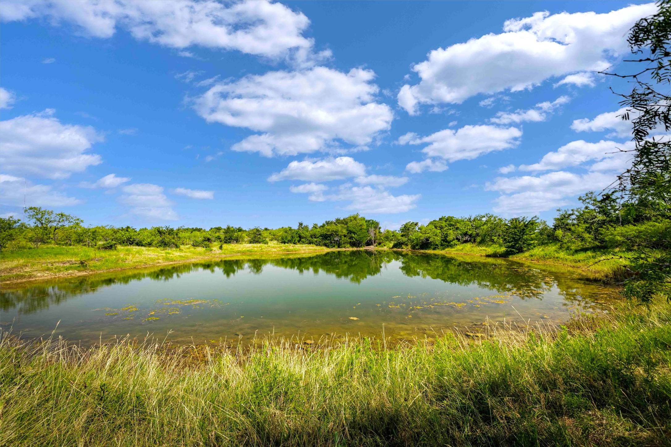 1324 Lcr 120, Mount Calm, TX 76673