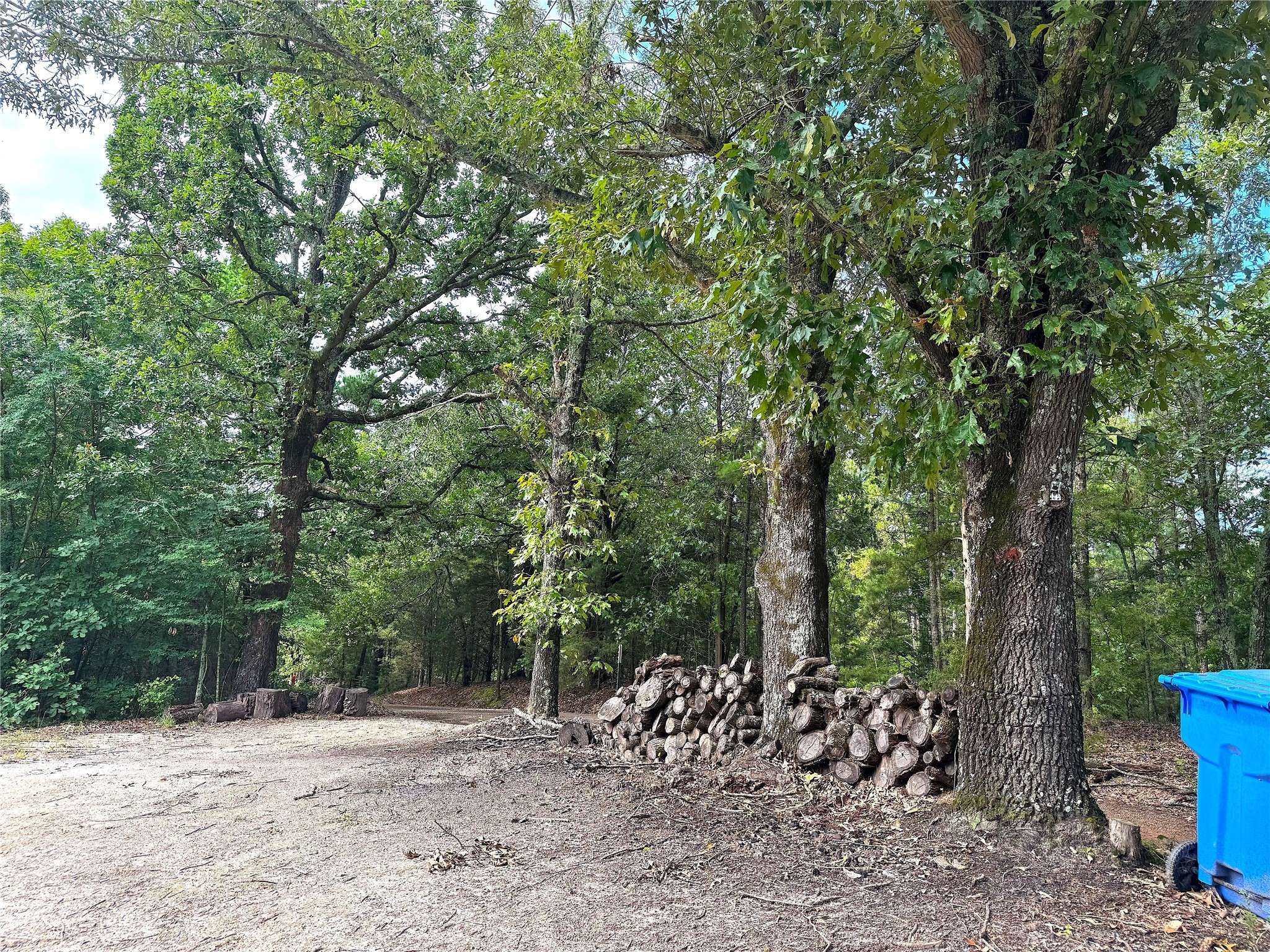 Pittsburg, TX 75686,358 County Road 2401