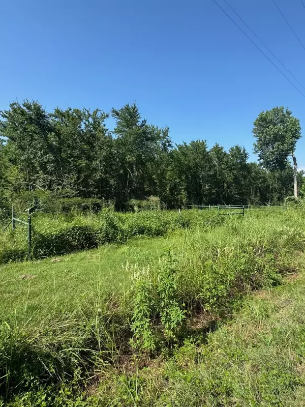 Gordonville, TX 76245,1437 Cedar Mills