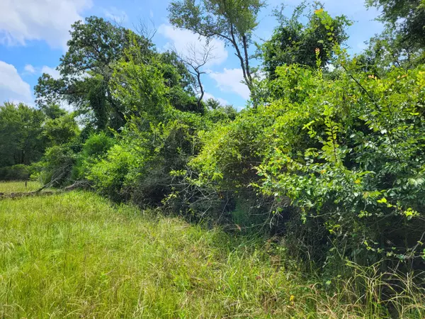 Groesbeck, TX 76642,TBD LCR 775 W