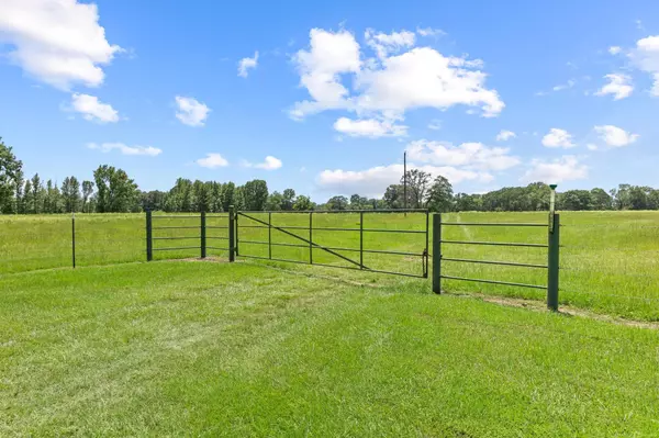 Avery, TX 75554,0000 County Road 4427