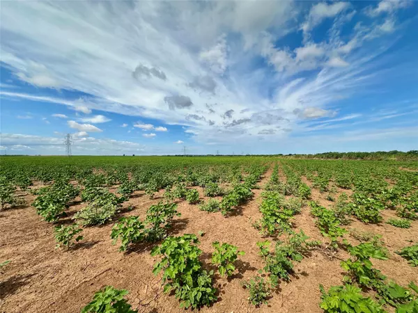 Merkel, TX 79536,TBD County Road 409