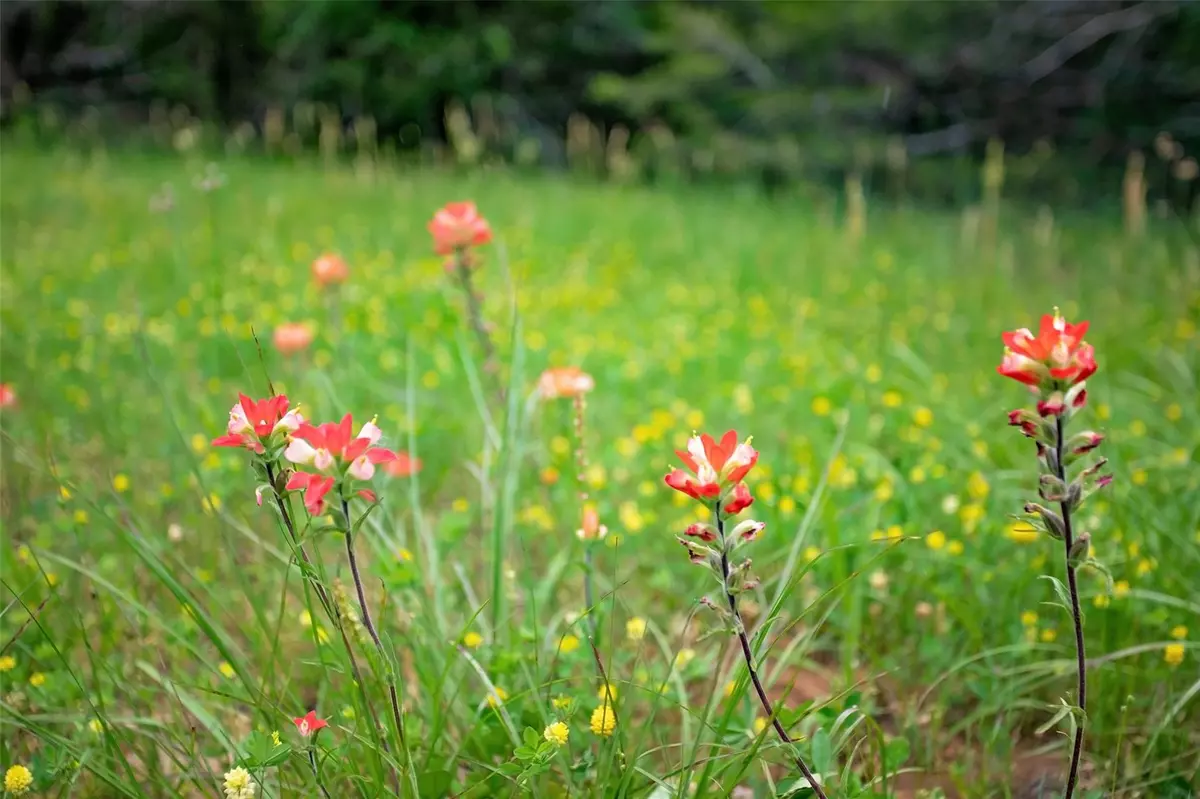 Gordonville, TX 76245,740 Palmilla DR