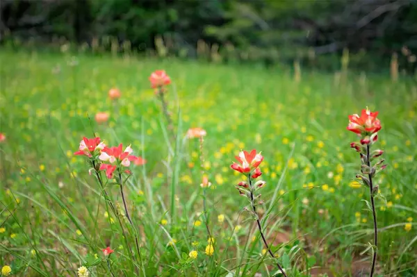 740 Palmilla DR, Gordonville, TX 76245