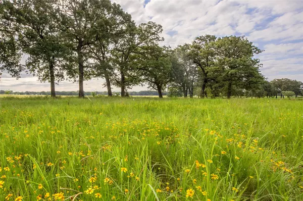 Hillsboro, TX 76645,2403 FM 309