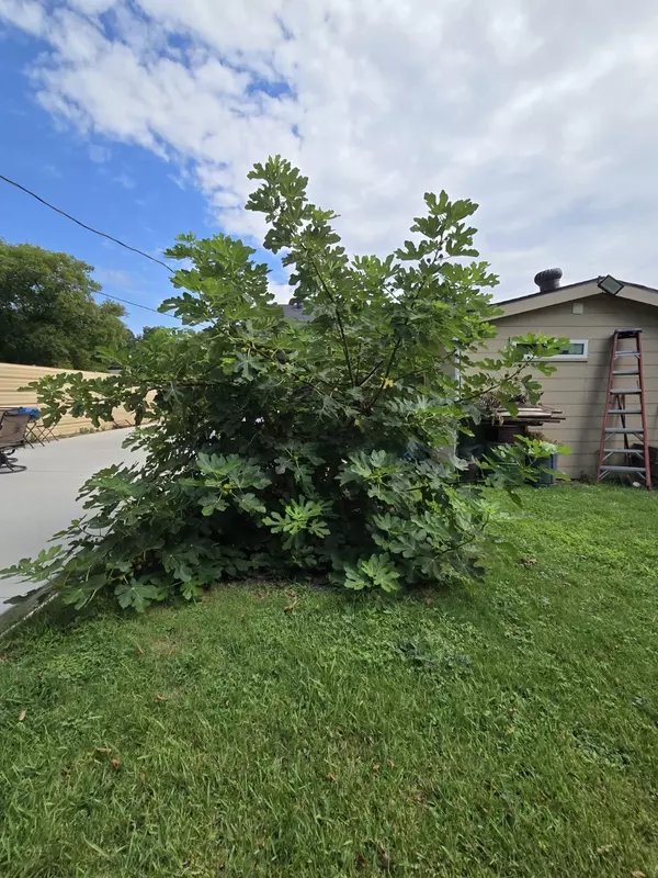 Fort Worth, TX 76104,722 Atlanta ST