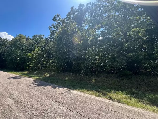 Mabank, TX 75156,133 Pocahontas ST