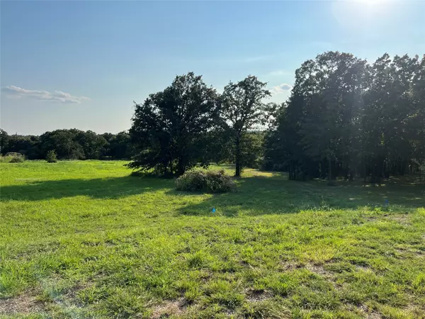 Springtown, TX 76082,TBD Table Salt CT