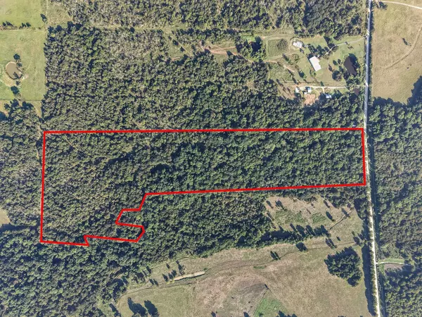 Richland, TX 76681,TBD39ac SW Co Rd 2340