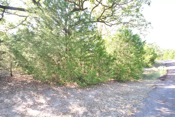 Jewett, TX 75846,Lot 77 LOT 77 LCR 894 DR