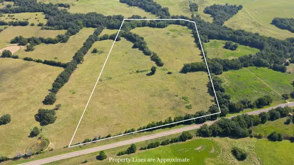 TBD W FM 1246 ST, Thornton, TX 76687