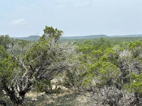Glen Rose, TX 76043,TBD 2010 #Lot 4