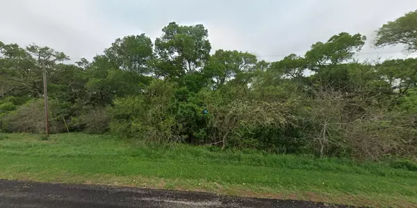 Blessing, TX 77465,325 River Hollow WAY