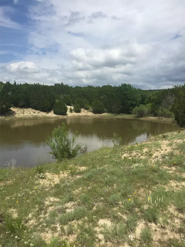 Goldthwaite, TX 76844,TBD1 US Highway 183 HWY S