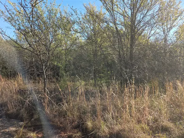 Corsicana, TX 75109,Lot 20 Sunrise W