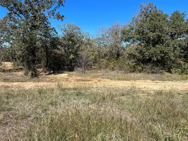 Mineral Wells, TX 76067,TBD Summit