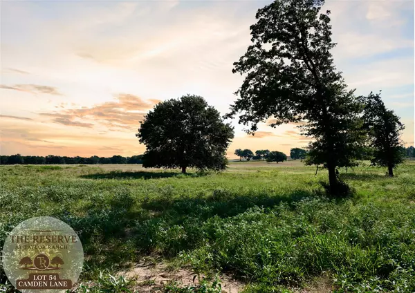 Lot 54 Camden LN, Springtown, TX 76082