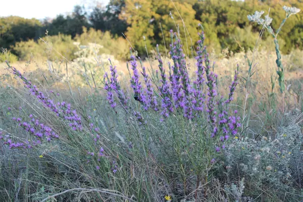 Blanket, TX 76432,TBD County Road 147
