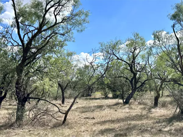 Abilene, TX 79601,TBD TBA County Road 100