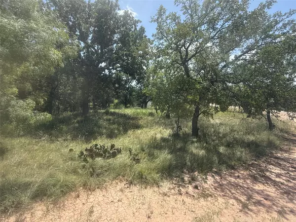 May, TX 76857,TBD (lot 691) S Lakes DR