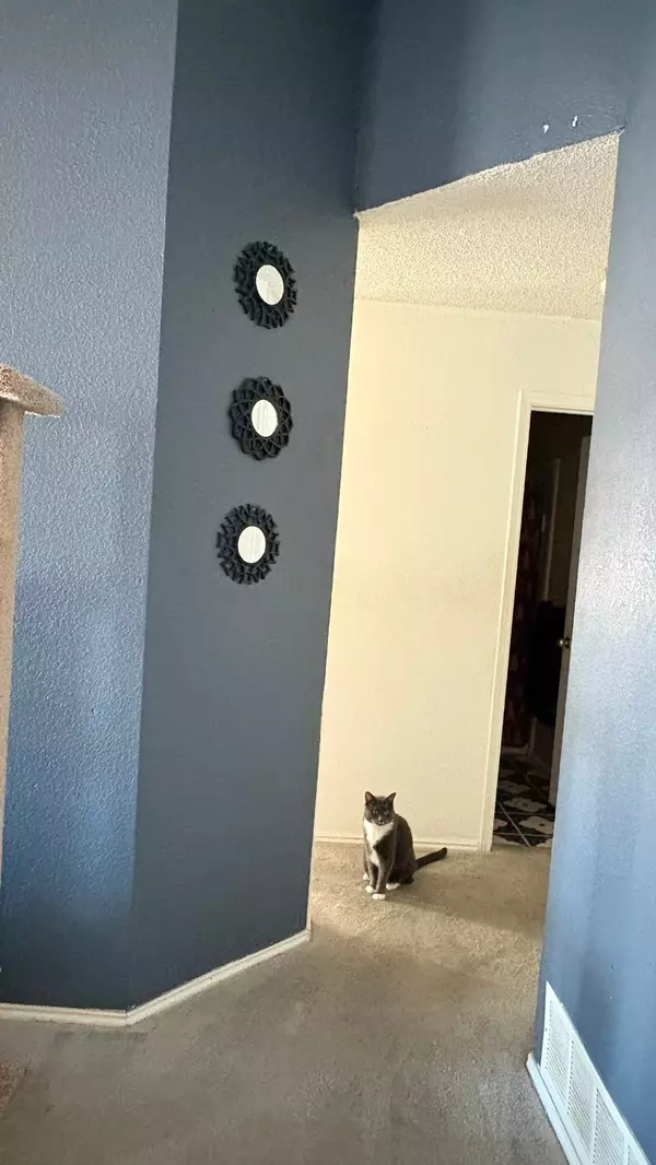 Arlington, TX 76017,927 Rio Vista LN