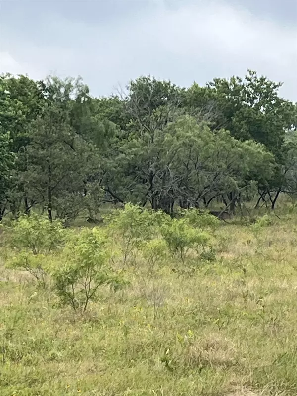 Mexia, TX 76667,TBD W HWY 84