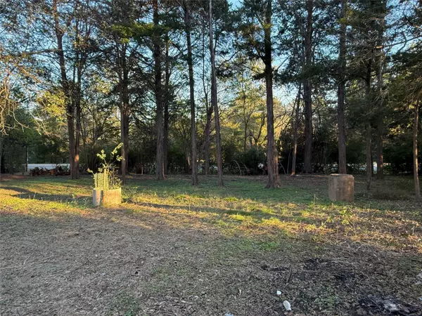 Palestine, TX 75803,2413 FM 2574