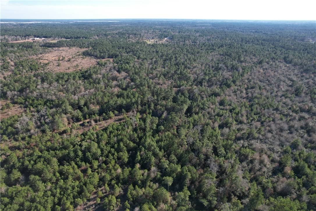 Plantersville, TX 77363,000 CR 302