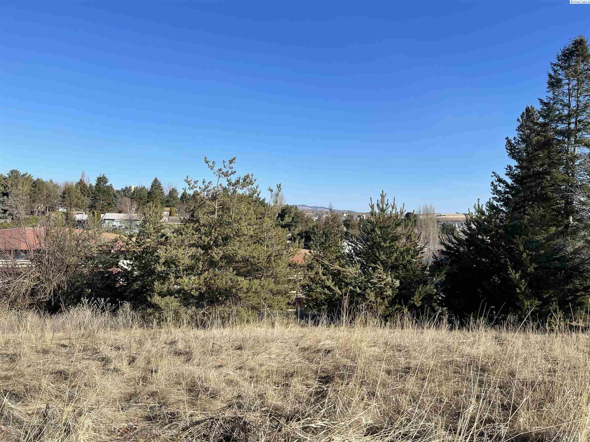 130 & 140 NW Ann St., Pullman, WA 99163