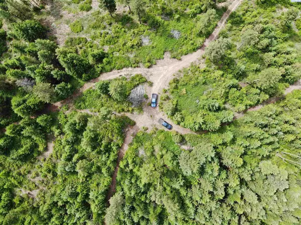 2420A Cedonia-Addy Rd, Other, WA 99101