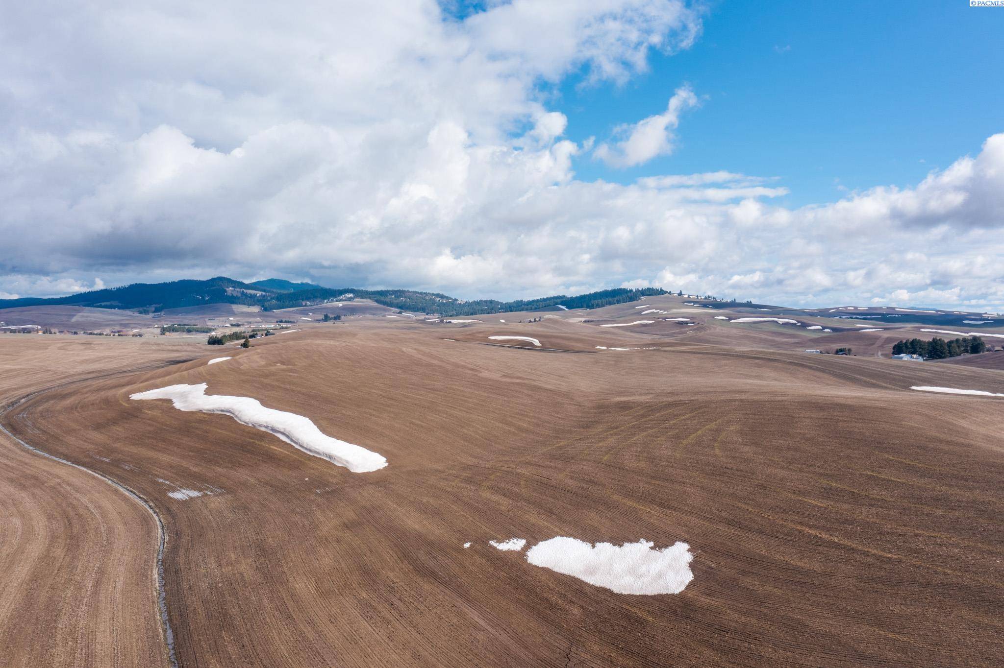 TBD Trestle Rd., Pullman, WA 99163