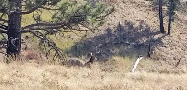 Pomeroy, WA 99347,KNA Middle Ridge Road