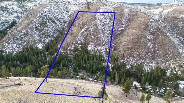1 Tbd Pataha Creek Road, Pomeroy, WA 99347