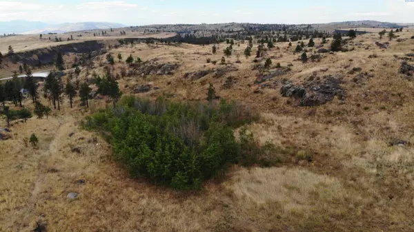 XXX Serenity's Way, Other, WA 98840