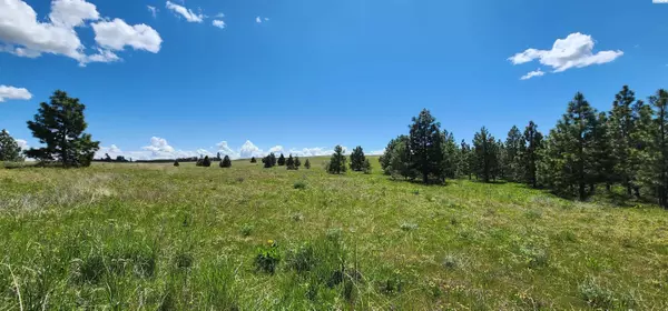 Lyle, WA 98635,Lot 18 Schilling Rd