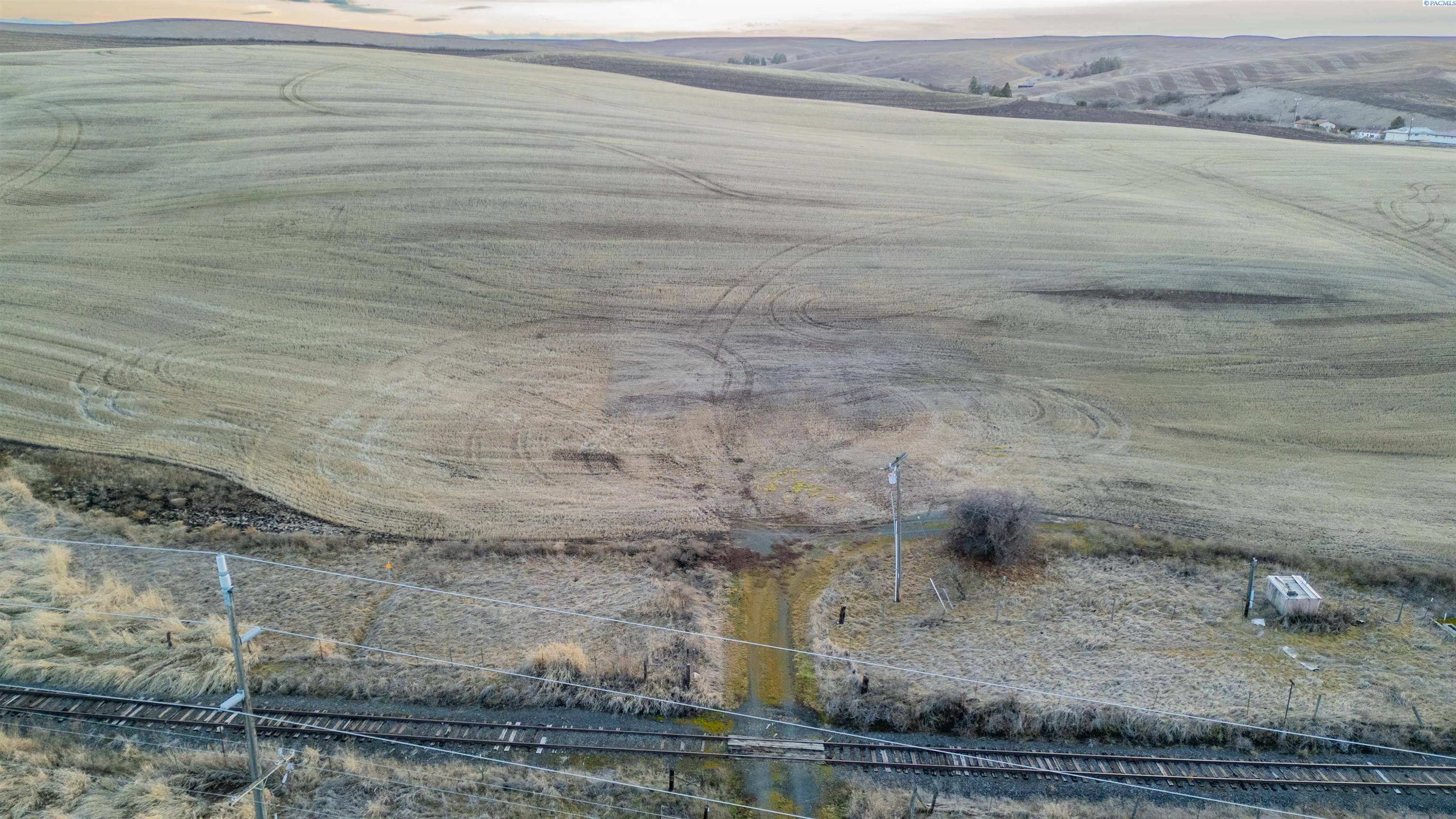 Pullman, WA 99163,303 Old Moscow Rd