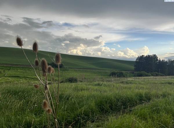 TBD Tidwell, Palouse, WA 99161