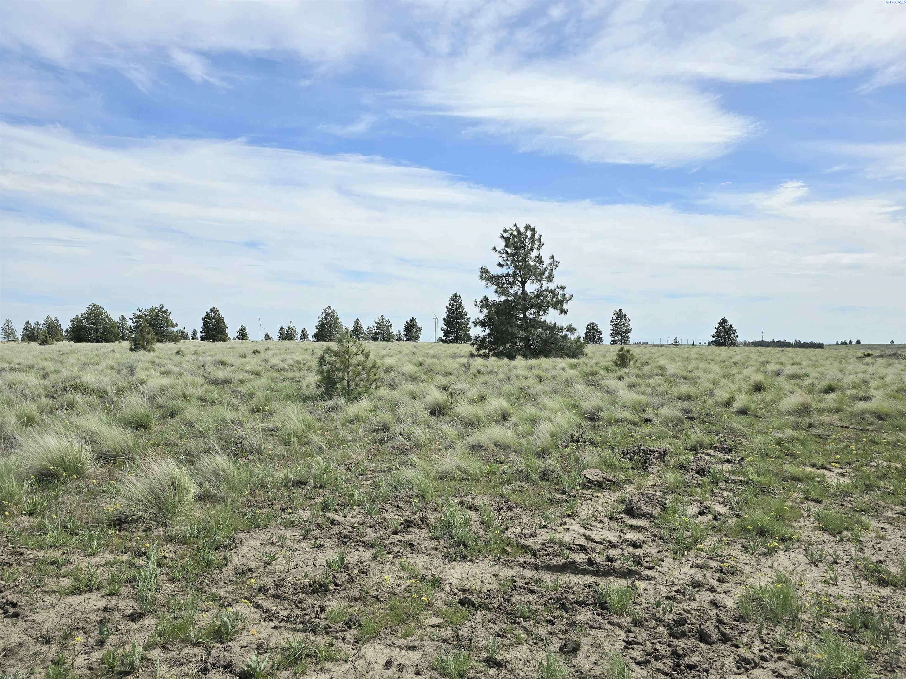 Bickleton, WA 99322,226 Duree Rd