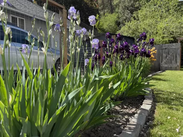 Colfax, WA 99111,419 W A Ave