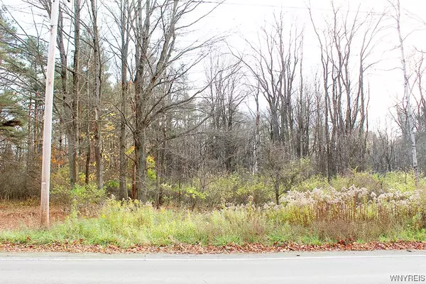Springville, NY 14141,VL North Street Lot #1