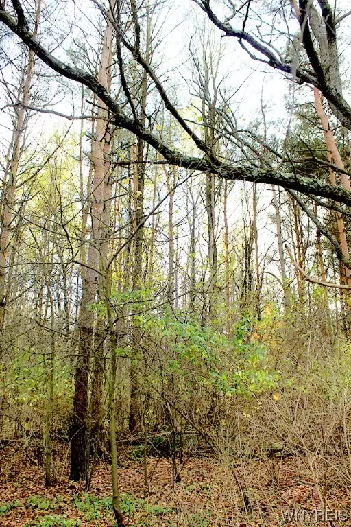 Springville, NY 14141,VL North Street Lot #4
