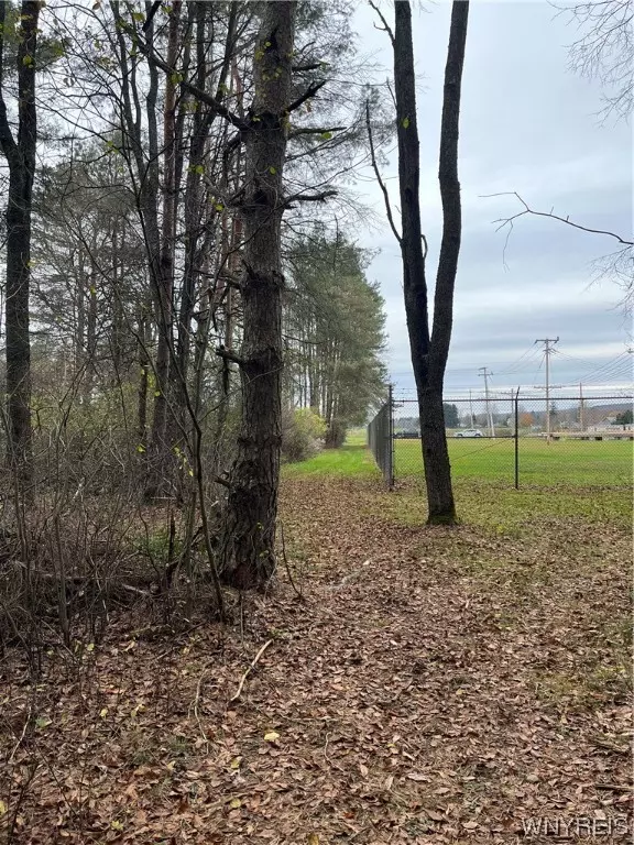 Springville, NY 14141,VL North Street Lot #7