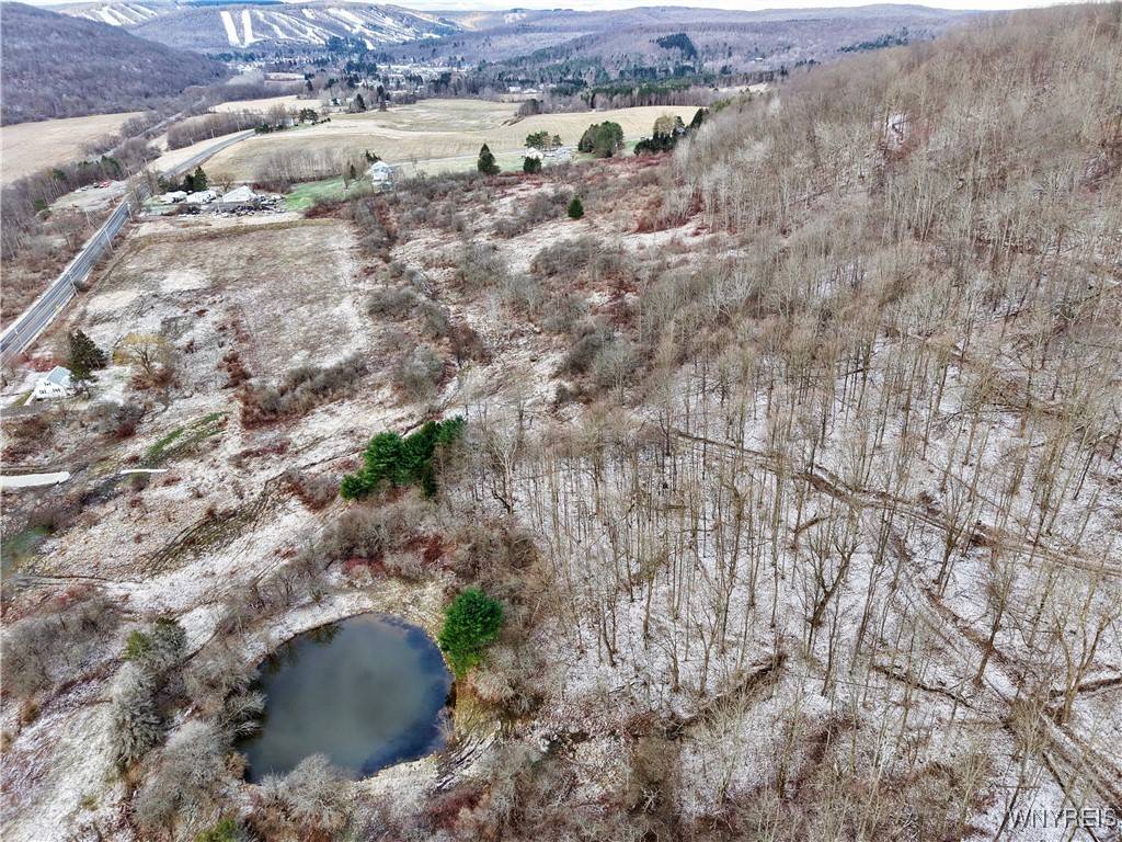 Ellicottville, NY 14731,6010 NYS Rte 242 Lot #6